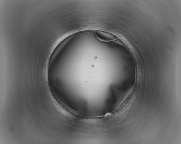 X0000112081246200908181235