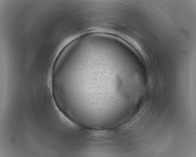 X0000112081247200908181235