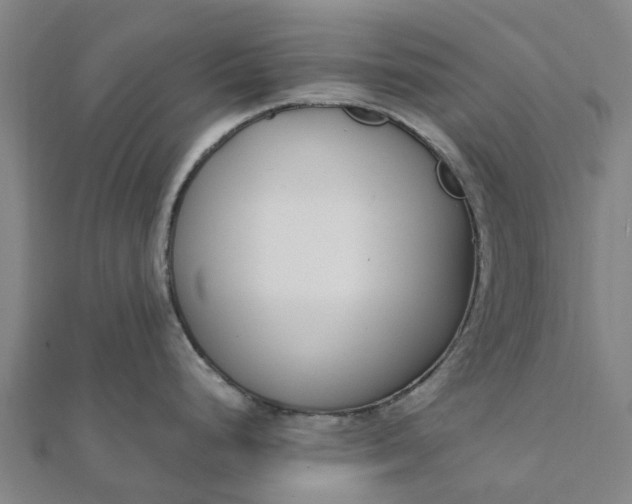 X0000112081248200908181235