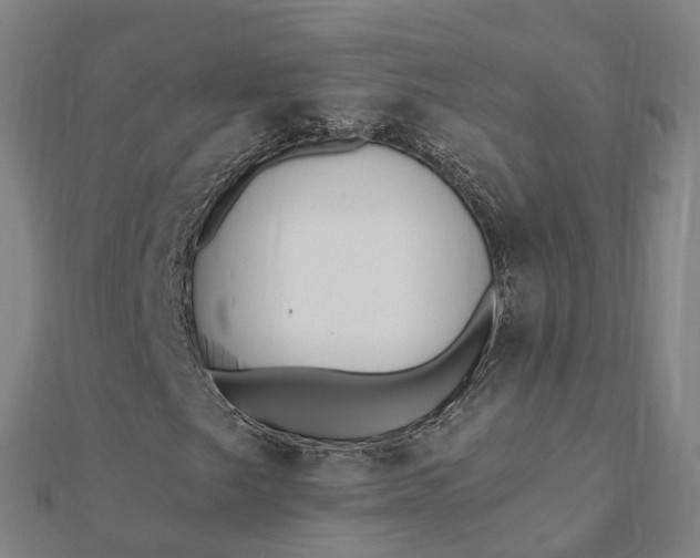 X0000112081249200908181234