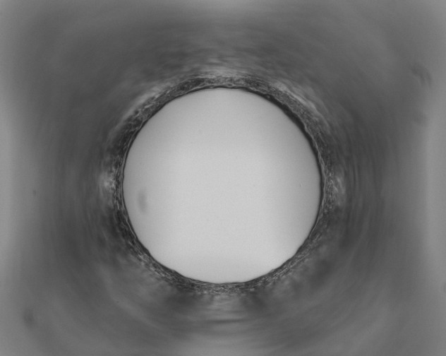 X0000112081254200908181234