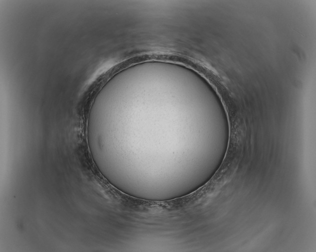 X0000112081255200908181234
