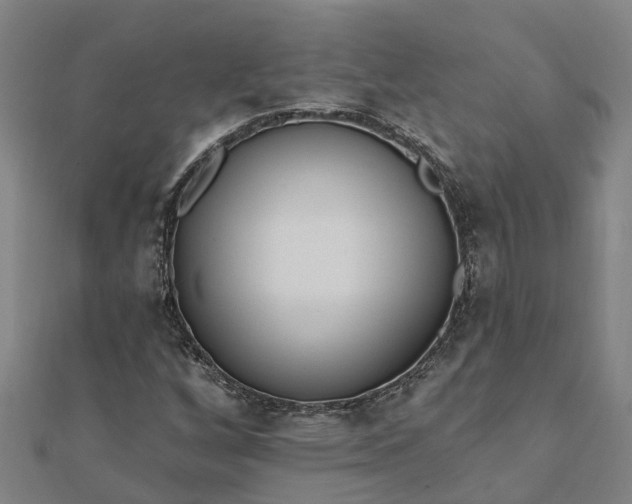 X0000112081256200908181234