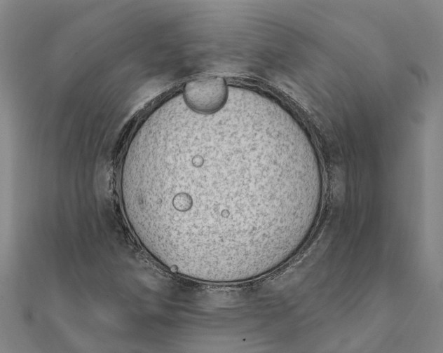 X0000112081258200908181234