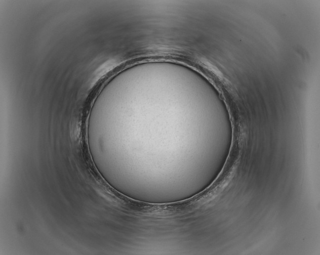 X0000112081259200908181234