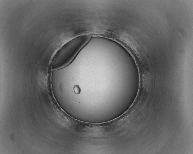 X0000112081260200908181234