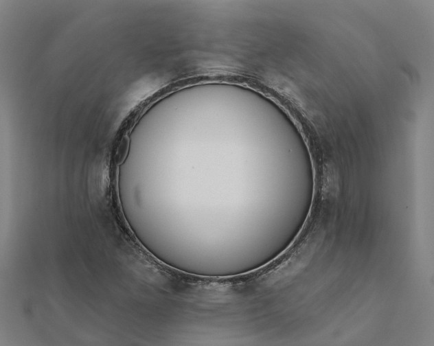 X0000112081261200908181234