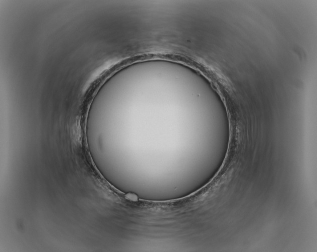 X0000112081262200908181234