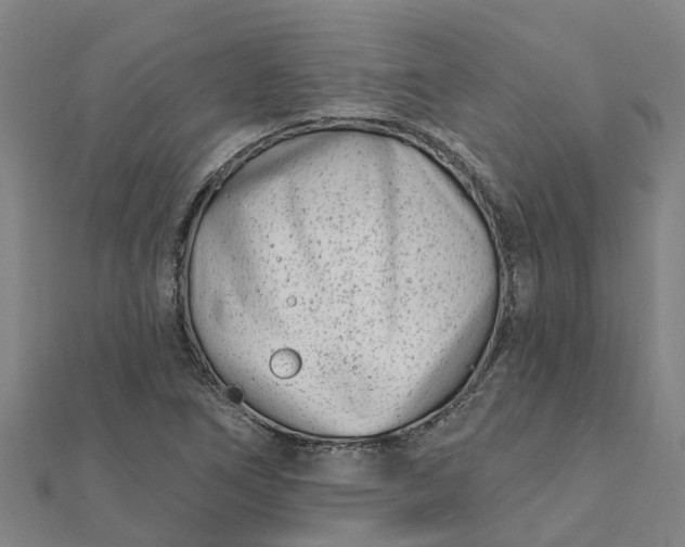 X0000112081266200908181234