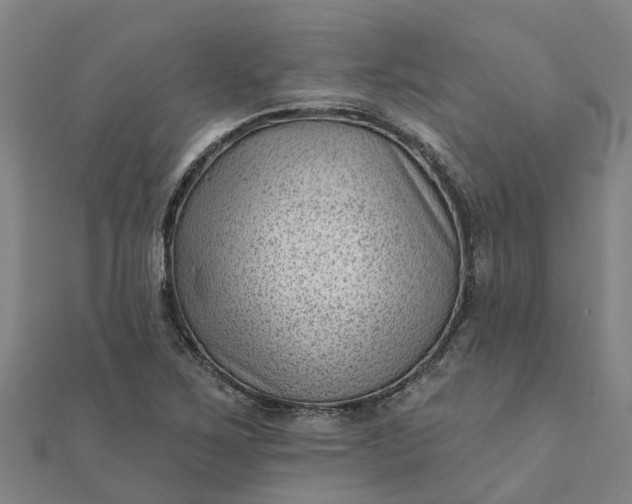 X0000112081267200908181234