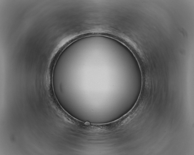 X0000112081270200908181234