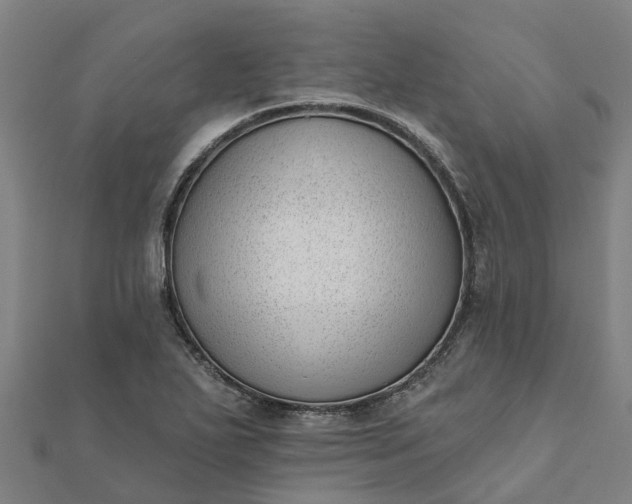 X0000112081271200908181234