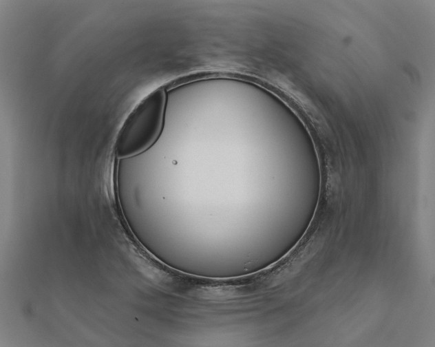 X0000112081272200908181234