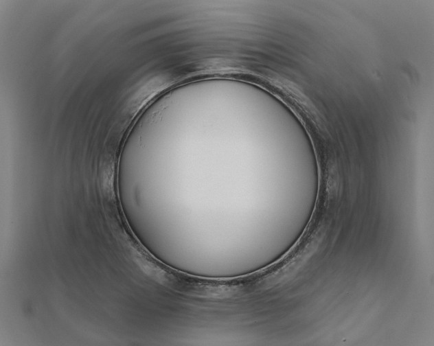 X0000112081273200908181234