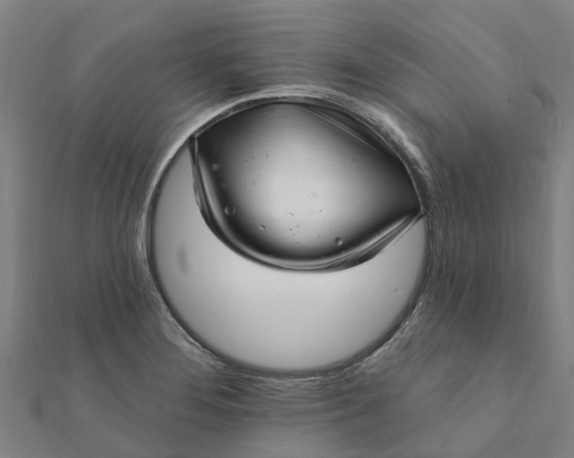 X0000112081276200908181234