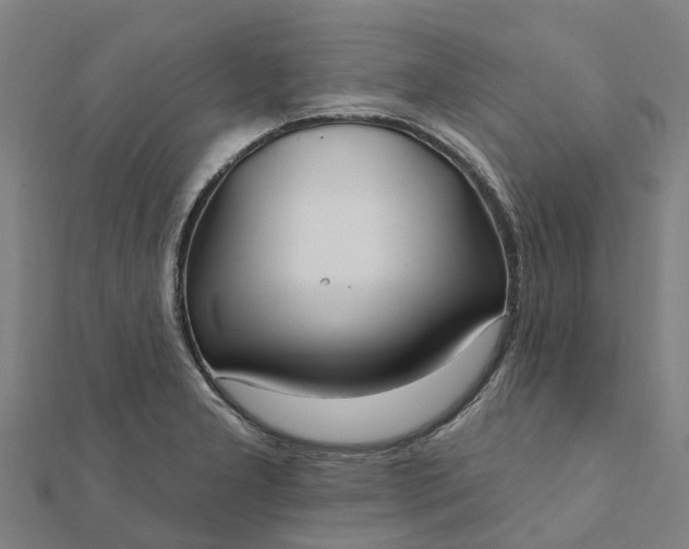 X0000112081277200908181234