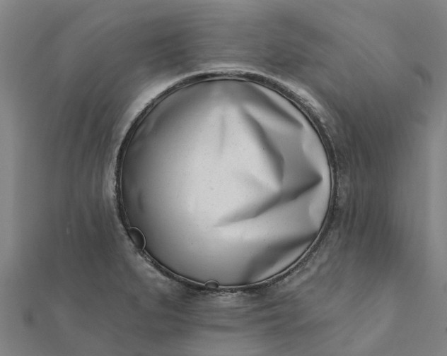 X0000112081279200908181234