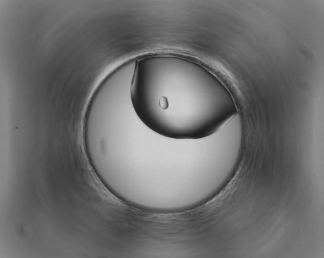 X0000112081280200908181234