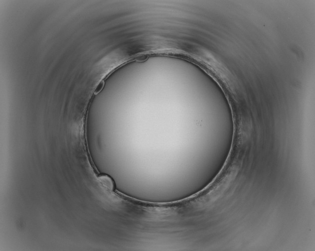 X0000112081281200908181234