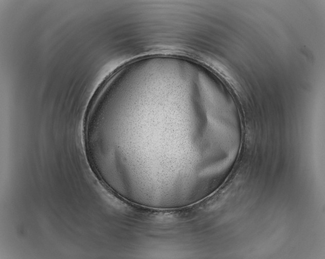 X0000112081283200908181234