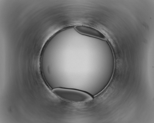 X0000112081285200908181234