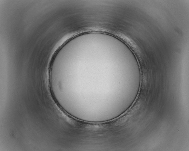 X0000112081286200908181234