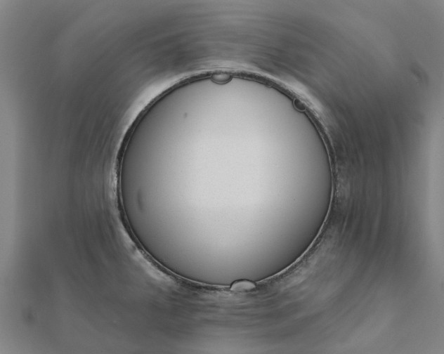 X0000112081287200908181234