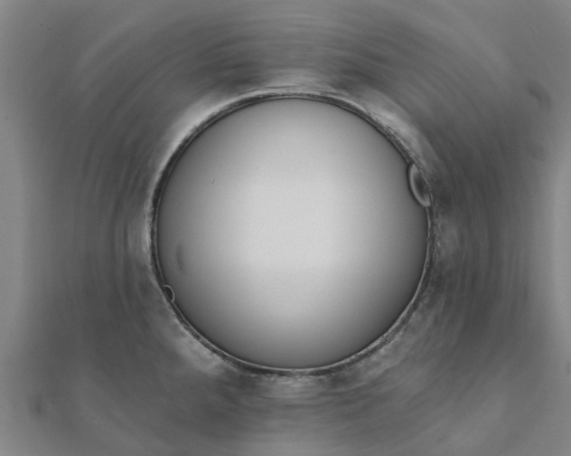 X0000112081288200908181234