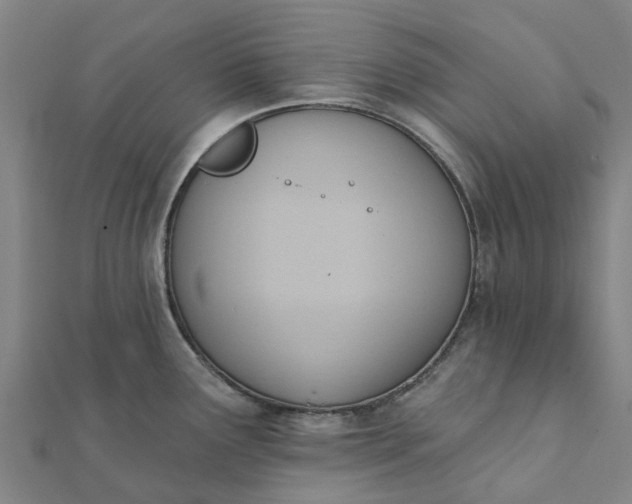 X0000112081291200908181234