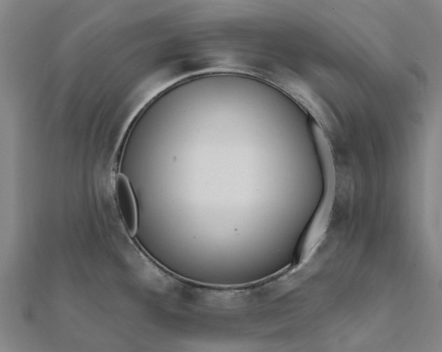 X0000112081292200908181234