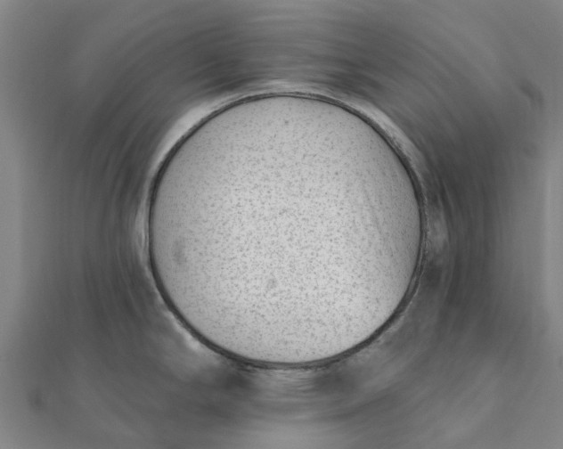 X0000112081294200908181234