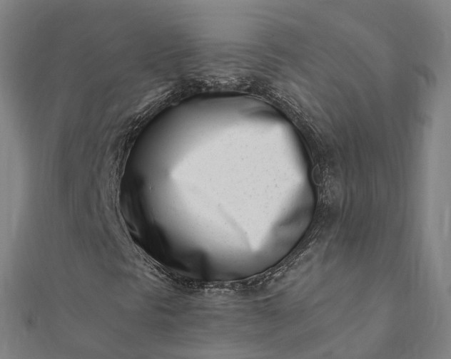 X0000112081297200908181233