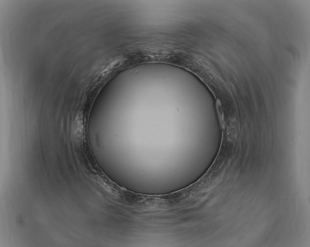 X0000112081298200908181233