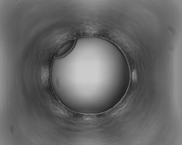 X0000112081299200908181233