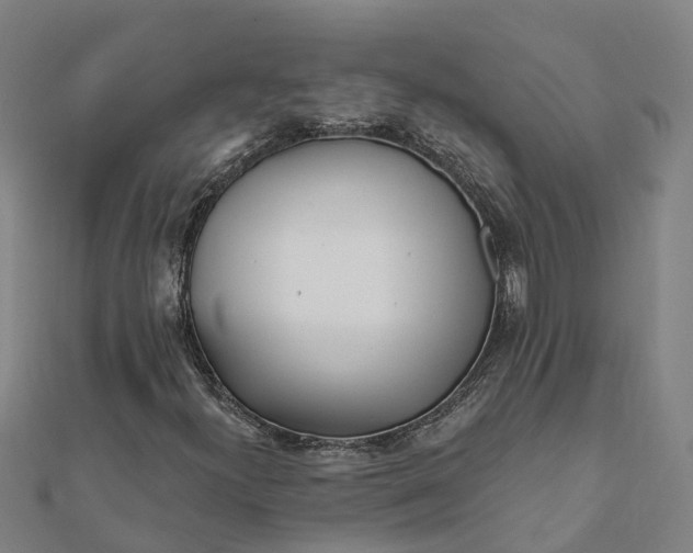X0000112081300200908181233