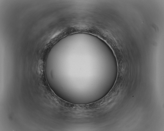 X0000112081301200908181233