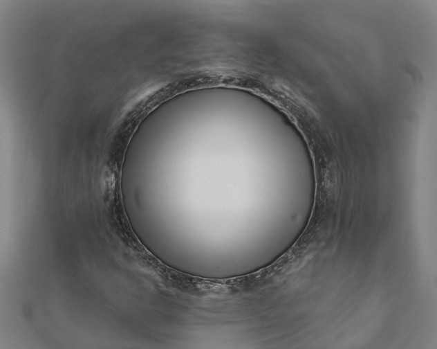 X0000112081302200908181233
