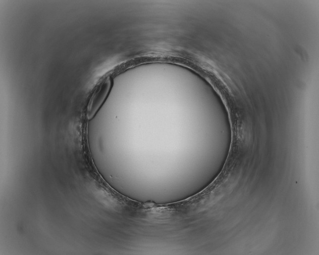 X0000112081304200908181233