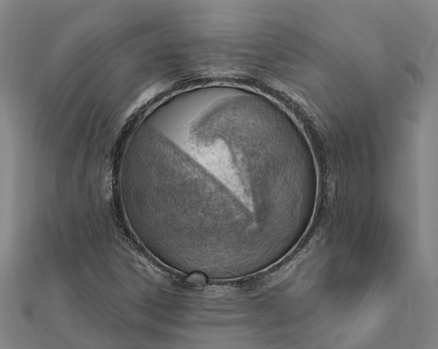 X0000112081306200908181233