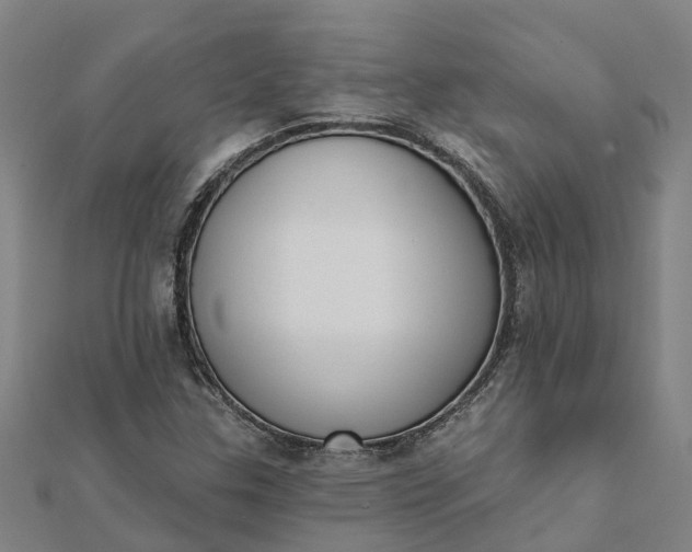 X0000112081307200908181233