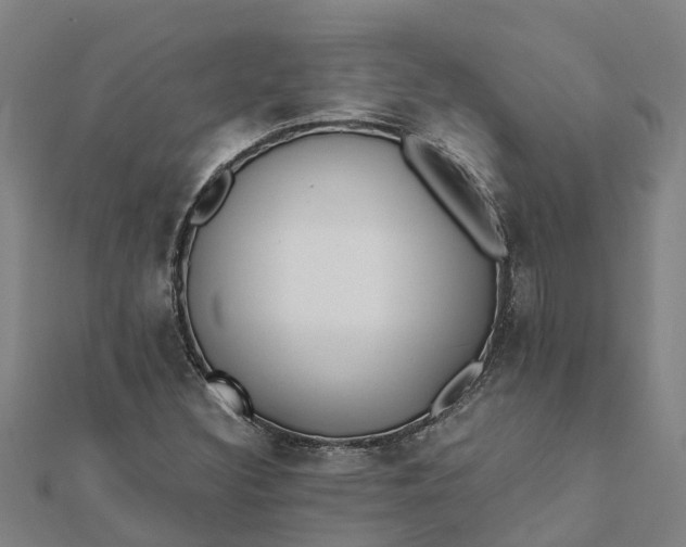 X0000112081308200908181233
