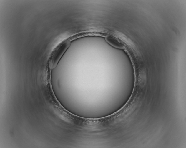 X0000112081310200908181233