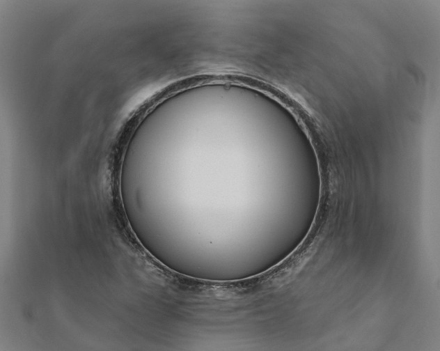 X0000112081311200908181233