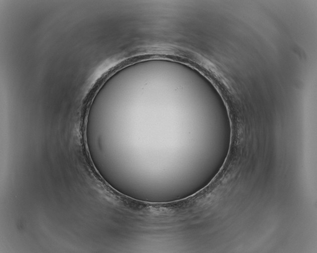 X0000112081312200908181233