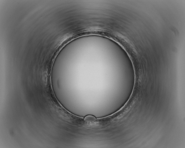 X0000112081313200908181233