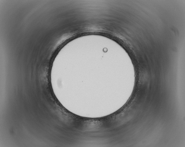 X0000112081314200908181233