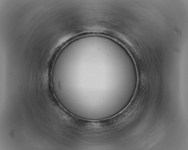X0000112081315200908181233
