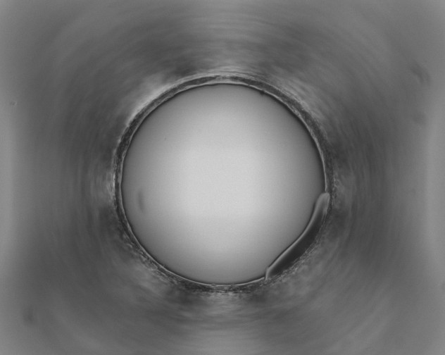 X0000112081316200908181233