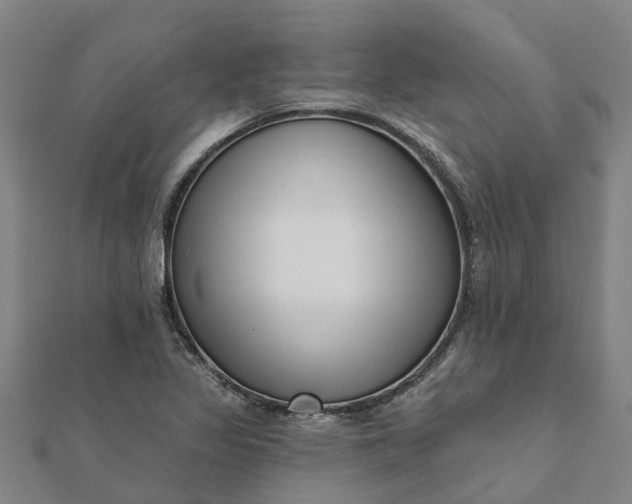 X0000112081317200908181233