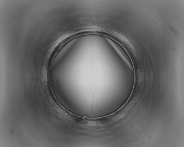 X0000112081318200908181233